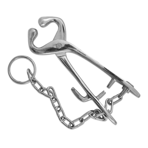 Bull Holder With Chain Having Hook