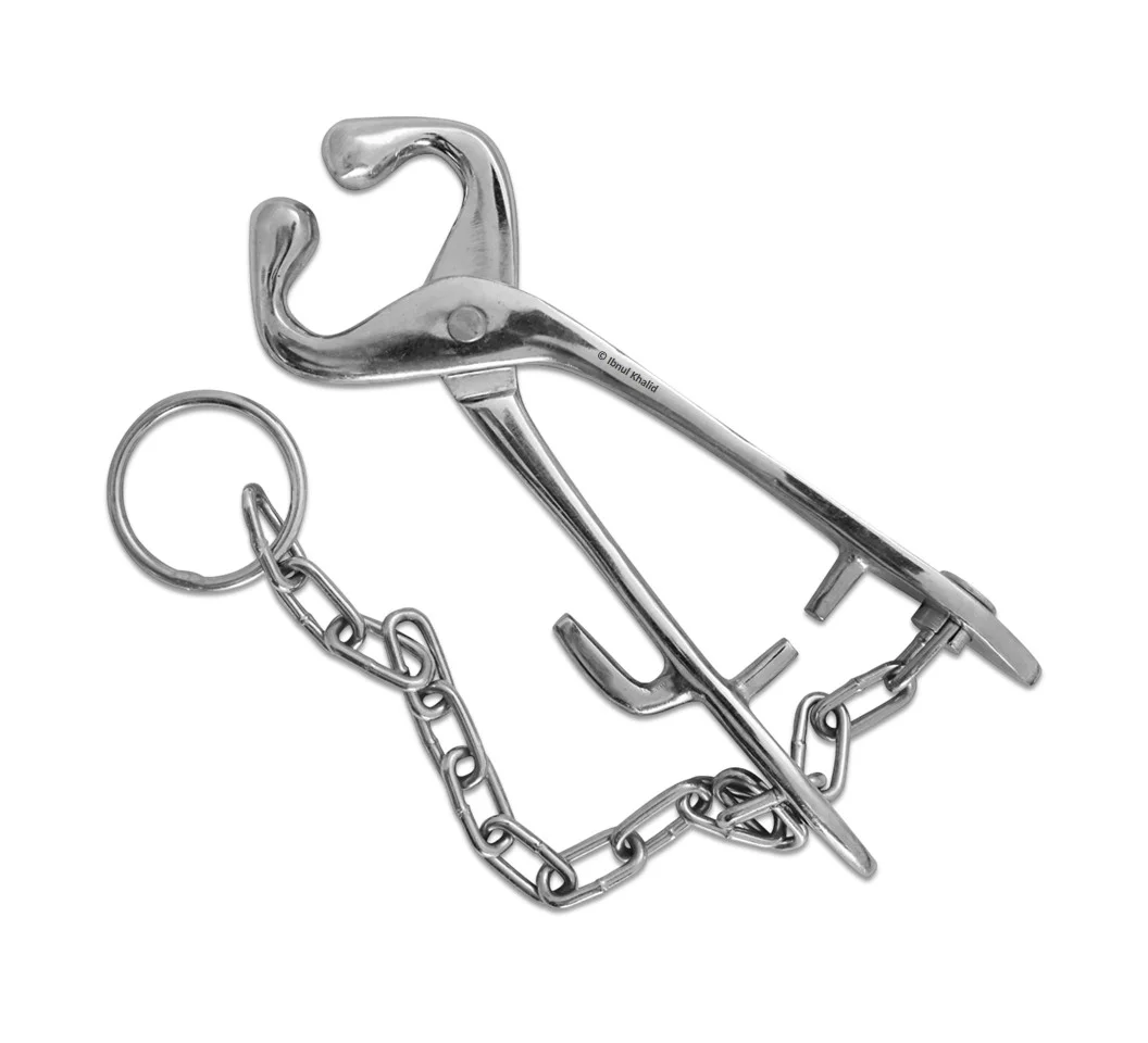 Bull Holder With Chain Having Hook Bull Holder With Chain Having Hook