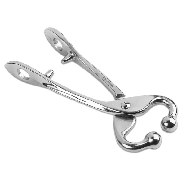 Bull Holder Without Chain