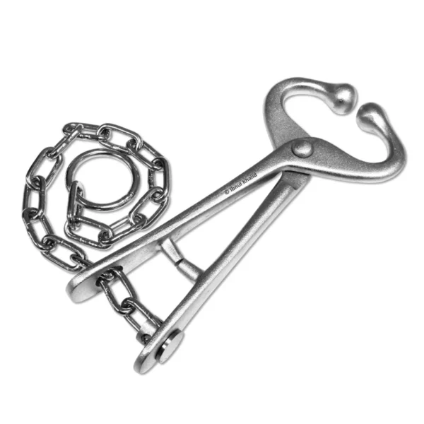 Bull holder With Chain
