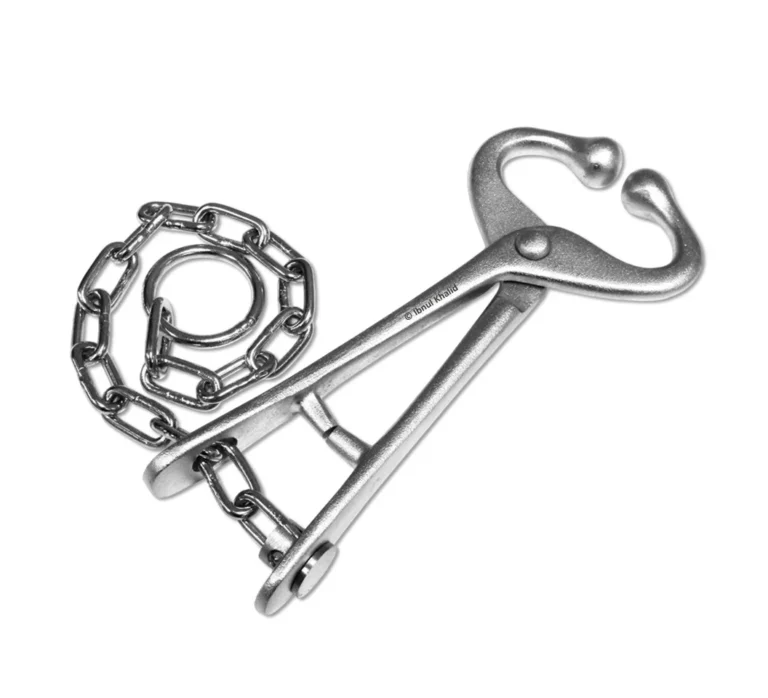 Bull holder With Chain