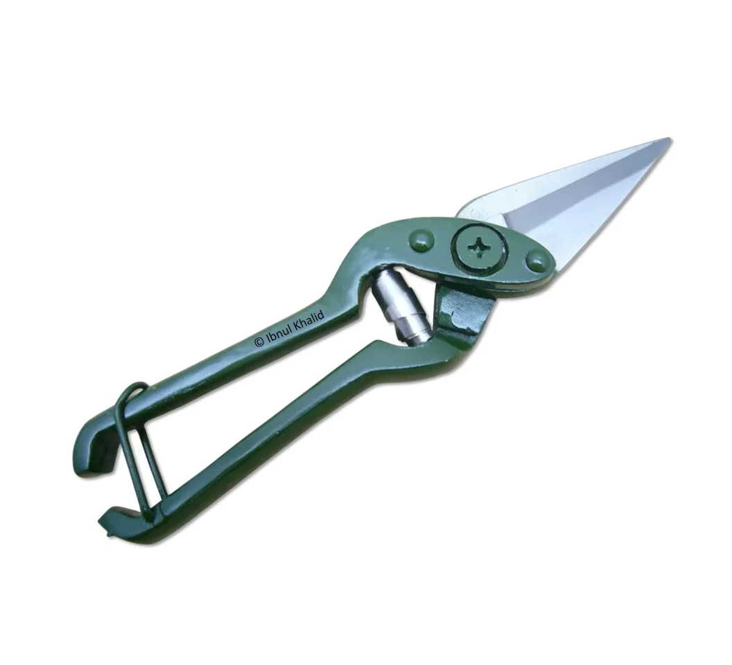 Heavy Duty Foot Rot Shears Heavy Duty Foot Rot Shears