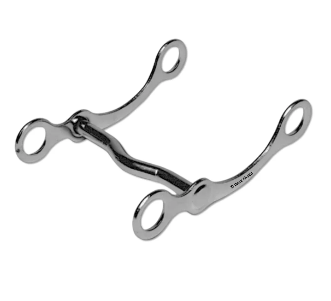 Curb Quarter Bit Curb Quarter Bit