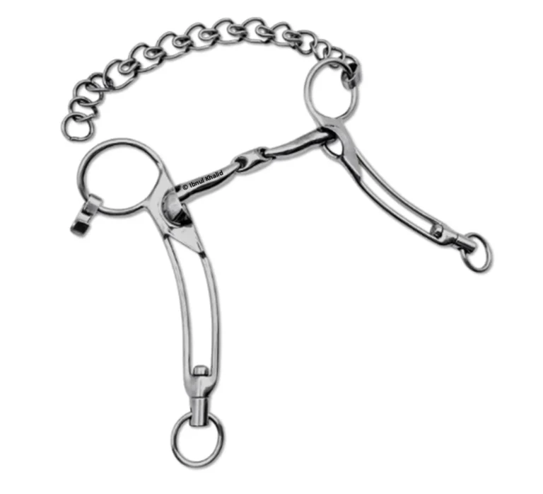 Double Jointed Icelandic Shank