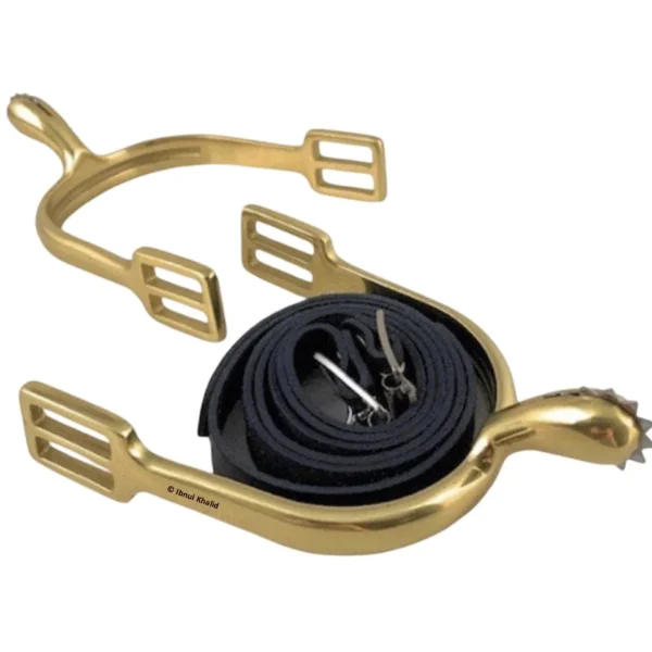 Spurs Rowel and Leather Straps