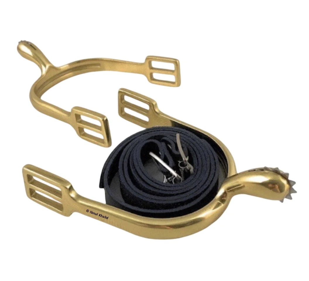 Gold Spurs, Rowel and Leather Straps Spurs Rowel and Leather Straps