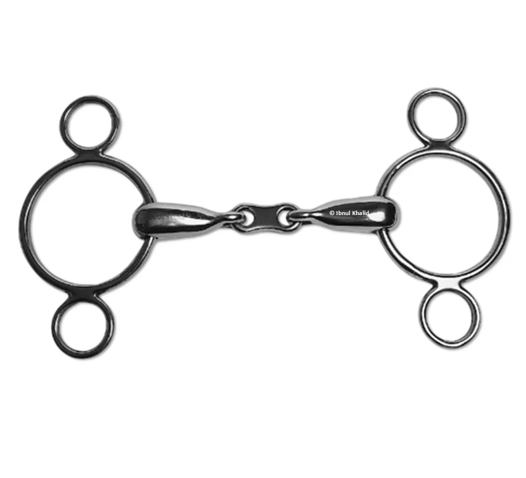 3 Ring Jointed Dutch Gag 3 Ring Jointed Dutch Gag