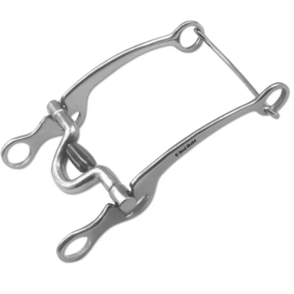 Long Shank Bridle Bit