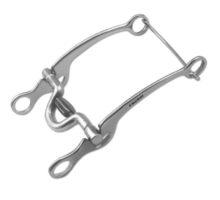 Long Shank Bridle Bit