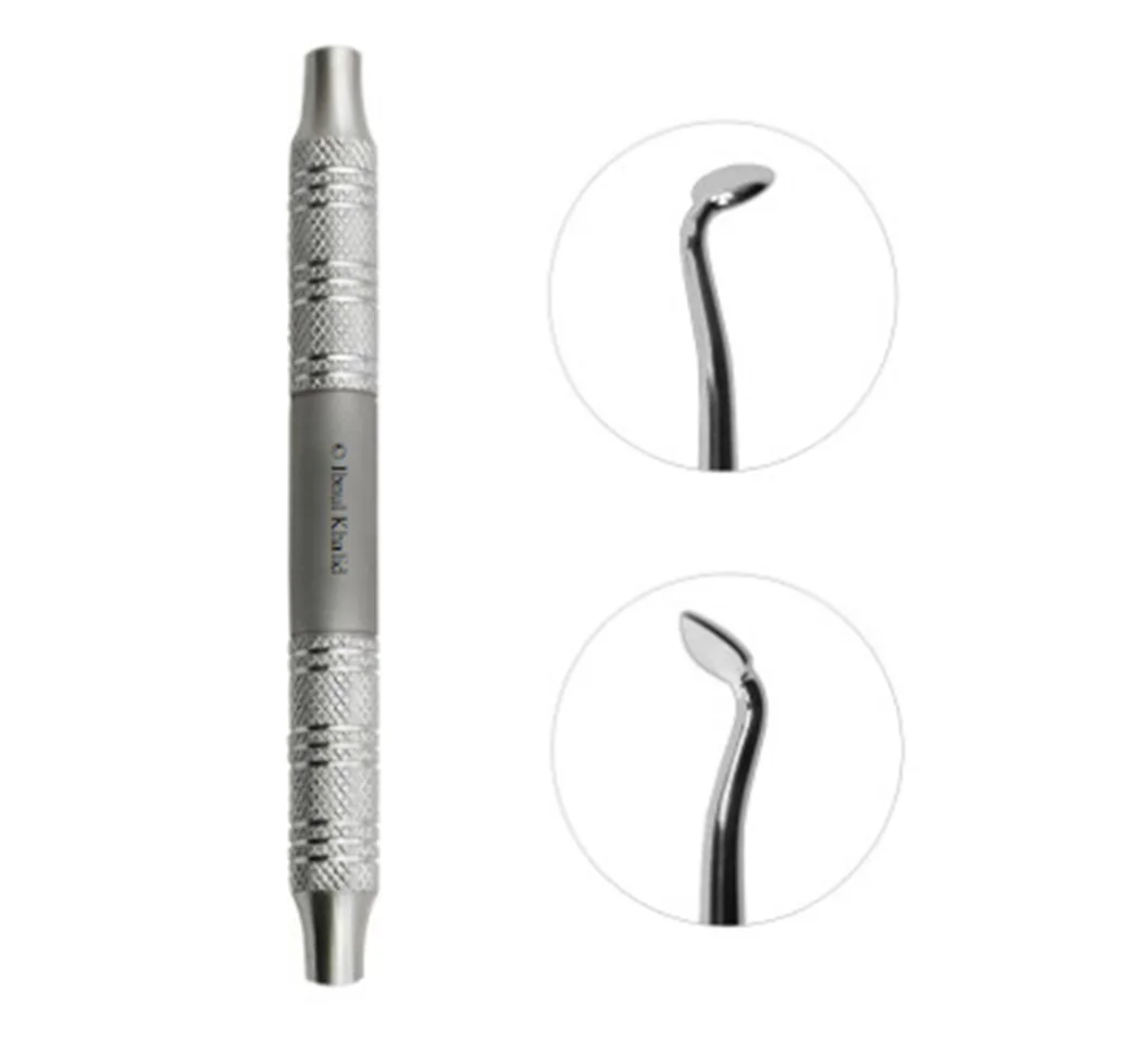 Dental Cleoid Discoid #36 Large Dental Cleoid Discoid #36 Large