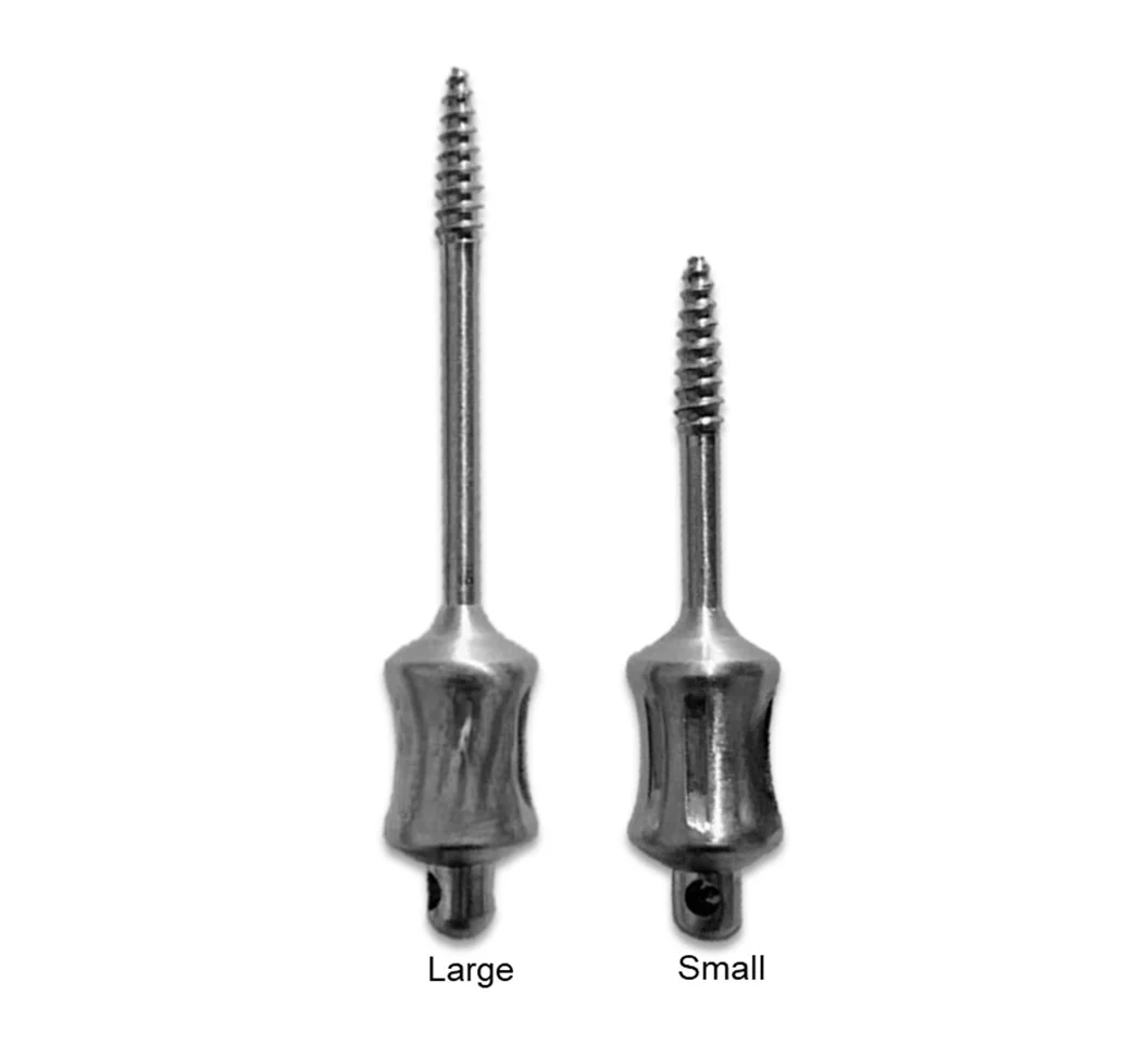 Dental Screws Dental Screws